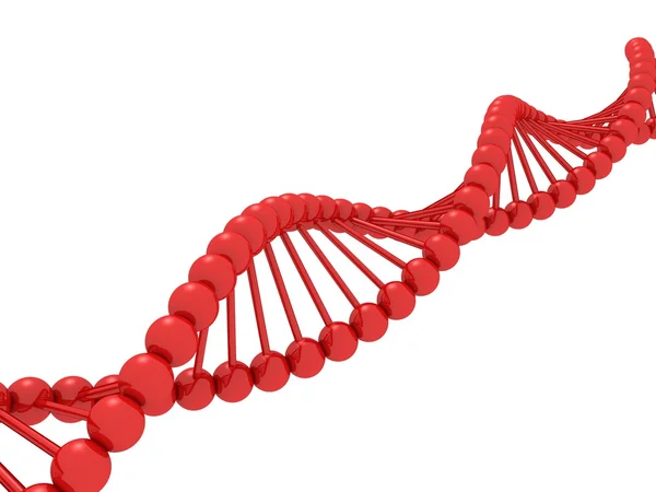 Molécula de ADN isolada em fundo branco — Fotografia de Stock