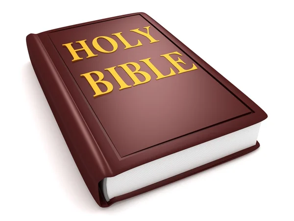 stock image Brown holy bible book