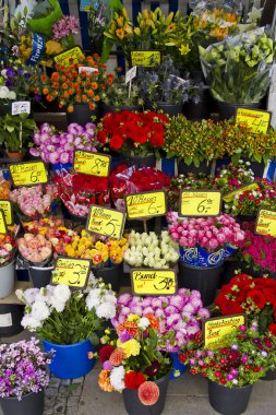 çiçek sokak pazarında