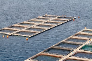 Aquaculture clipart