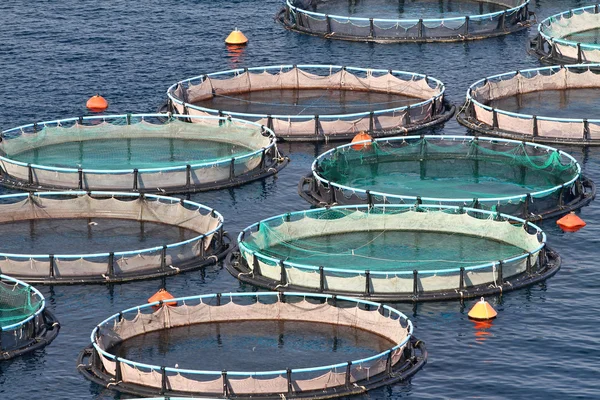 Aquaculture — Zdjęcie stockowe