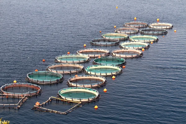 Aquaculture — Stock fotografie