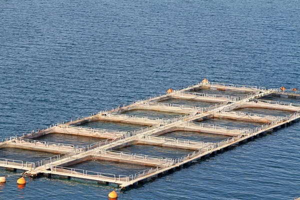 Aquaculture — Stock Photo, Image