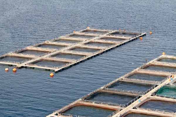 Aquaculture — Stock fotografie