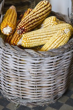 bir sepet üzerine corncobs