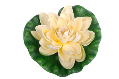 White water lily clipart