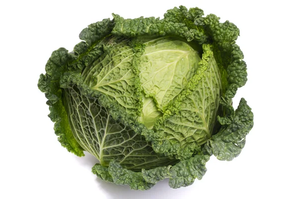 stock image Fresh savoy cabbage