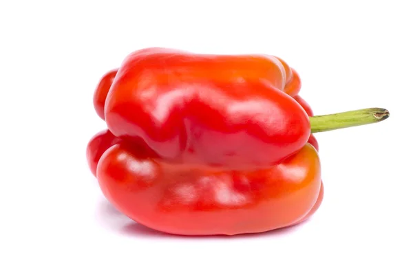 Φρέσκο κόκκινο πιπέρι κουδουνιών — Φωτογραφία Αρχείου