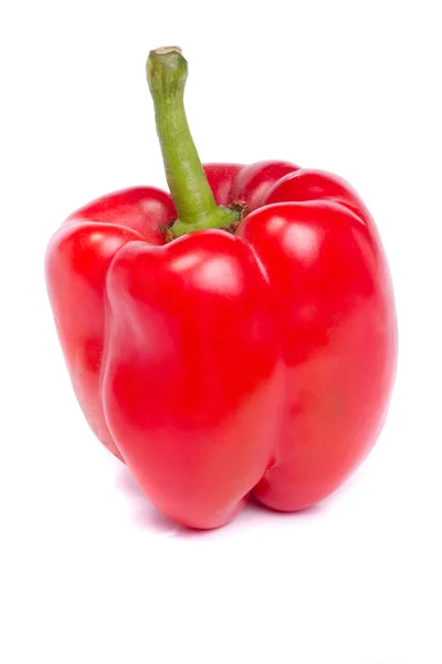 Fresh red bell pepper — Stock Photo, Image