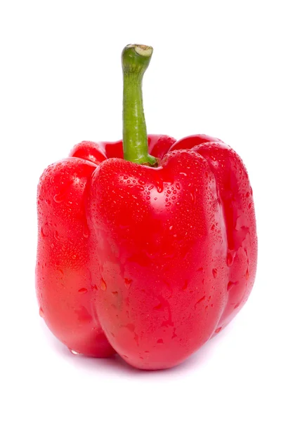 Fresh red bell pepper — Stock Photo, Image