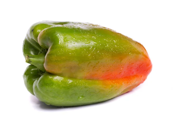 Färsk grön paprika — Stockfoto