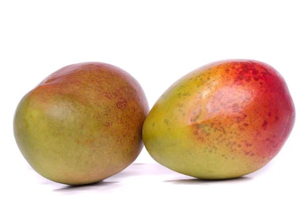 Zwei frische Mango-Früchte — Stockfoto