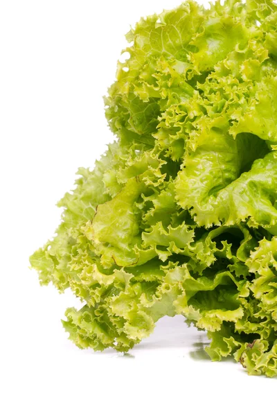 stock image Fresh lettuce