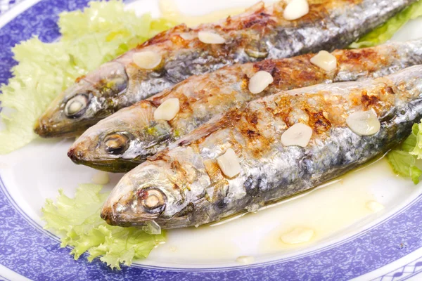 Savoureux sardines grillées — Photo