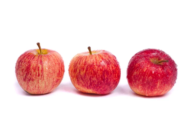 Jabłka świeże royal gali — Zdjęcie stockowe