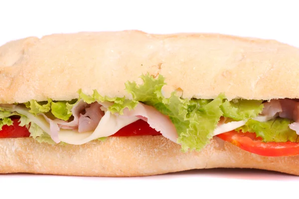 stock image Fresh and tasty sandwich