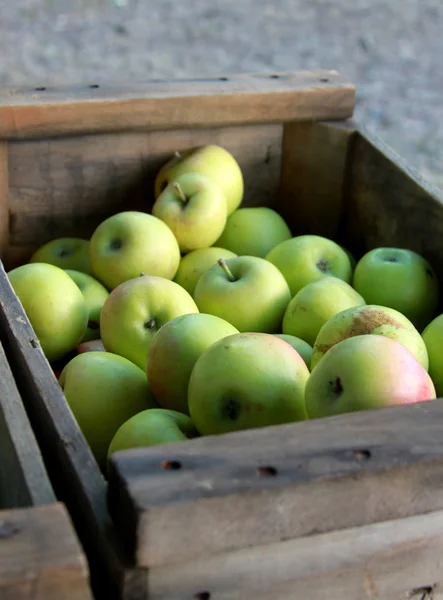 Apfelprodukt — Stockfoto