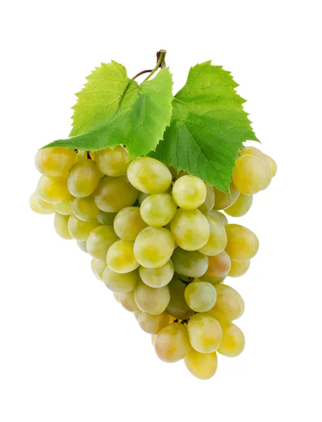 Куча свежего винограда и листьев, изолированных на белом — стоковое фото