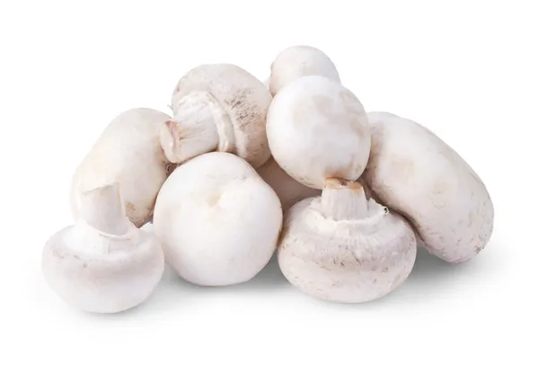 Bílé houby izolované na bílém — Stock fotografie