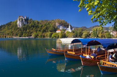 Traditional wooden boats in Bled clipart