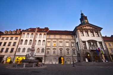 Ljubljana's city hall clipart