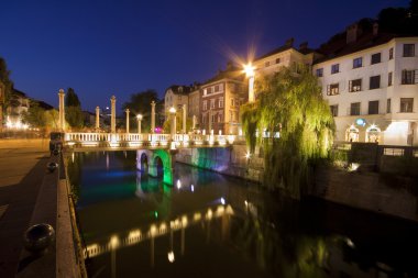 Shoemakers' bridge and medieval houses in Ljubljana clipart