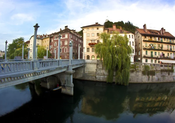 鞋匠的 Ljublanica 河上的桥 — 图库照片