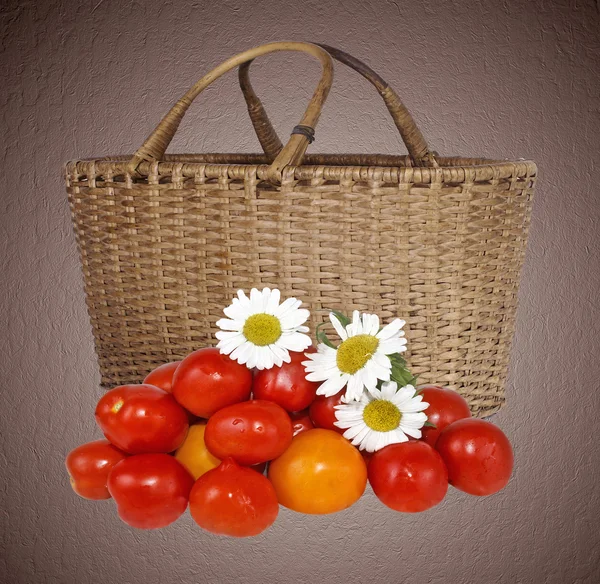 Fresh tomatoes. — Stock Photo, Image