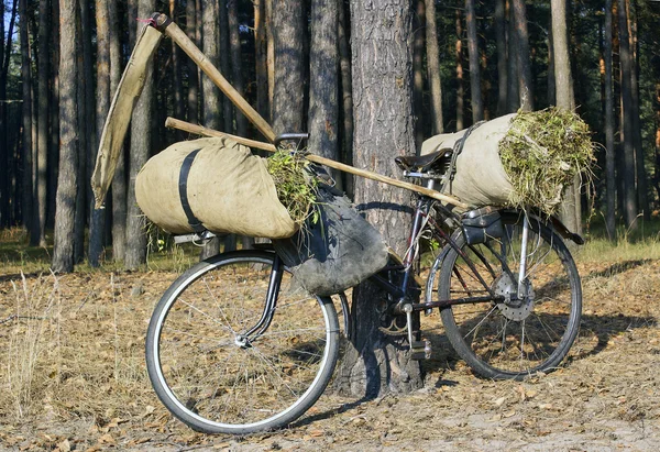 作为一辆自行车. — 图库照片