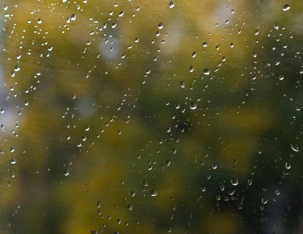 Gotas de lluvia en ventana —  Fotos de Stock