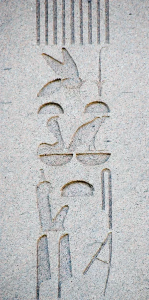 Hieroglyfer från Obelisken thutmosis III i istanbul — Stockfoto