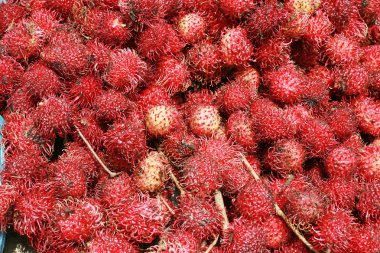 Rambutan arka plan, tropikal bir meyve