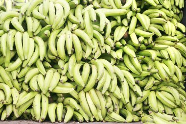 Green plantains (bananas) clipart