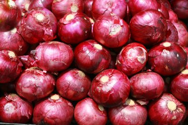 Harvested Red Onions in background clipart
