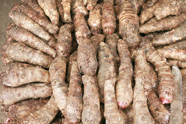 Achtergrond van verse taro root (colocasia) — Stockfoto