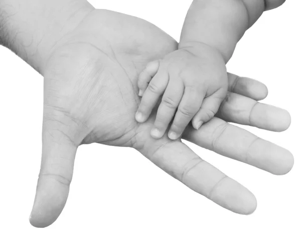 Mano adulta sosteniendo una mano bebé de cerca, blanco y negro — Foto de Stock