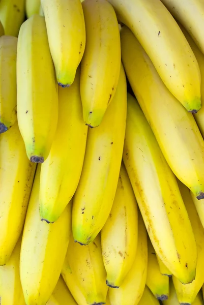 Stock image Bunch Of Bananas