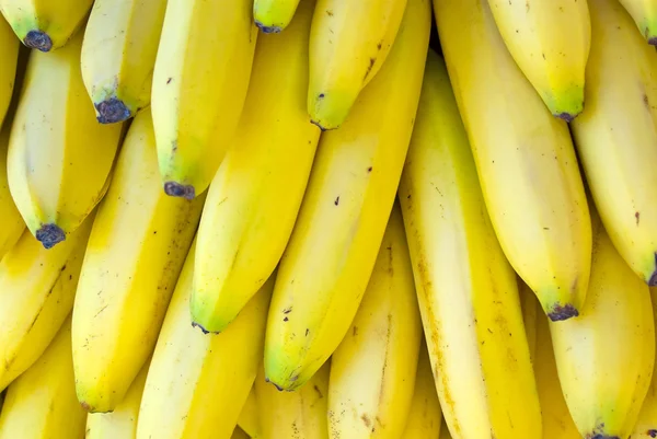 stock image Bunch Of Bananas