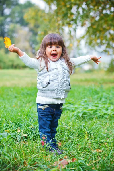 Kleines Mädchen in silbernem Wanderpark. — Stockfoto
