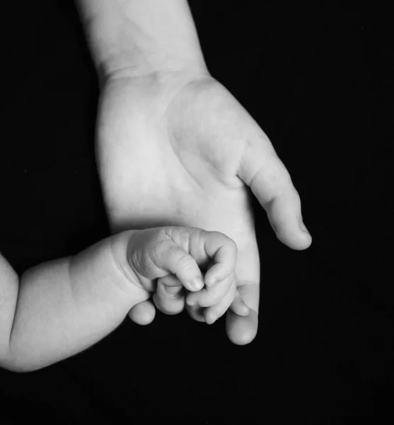 宝宝的手 — 图库照片