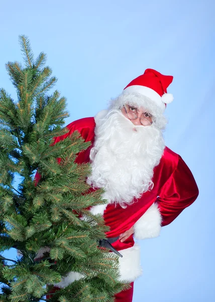 Santa a vánoční strom — Stock fotografie