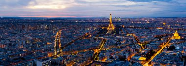 Panorama of Paris from the Montparnasse Tower. clipart