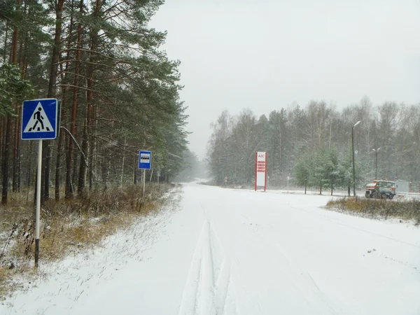 stock image First snow