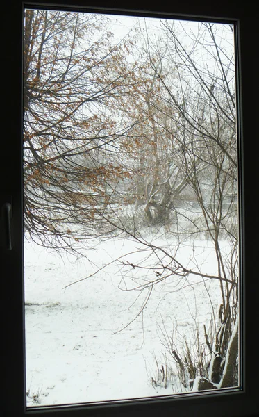 Iarnă pentru fereastră — Fotografie, imagine de stoc