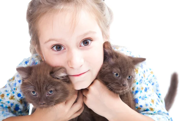 Девушка нежно обнимает двух каштановых британских котят — стоковое фото