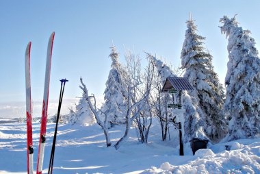 Winter sports in Erzgebirge clipart