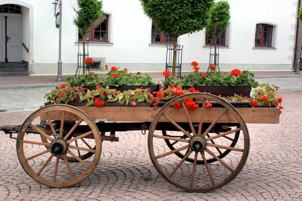 Bepflanzter Holzwagen — 图库照片