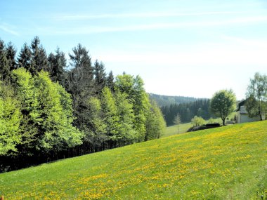 pastoral manzara