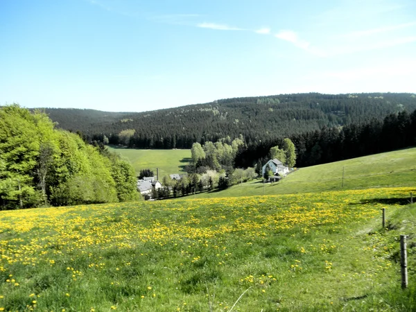 Idyllic landscape in the Erzgebirge — Stock Photo, Image