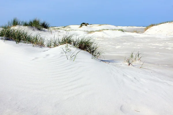 Desierto de arena blanca — Foto de Stock